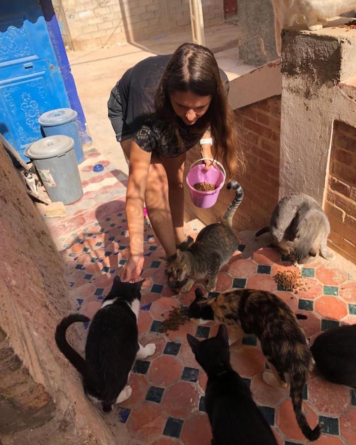 Maison Darna Guesthouse Aourir Εξωτερικό φωτογραφία