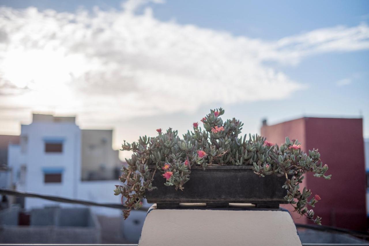 Maison Darna Guesthouse Aourir Εξωτερικό φωτογραφία