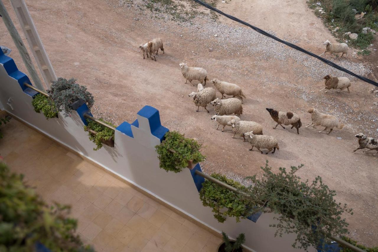 Maison Darna Guesthouse Aourir Εξωτερικό φωτογραφία