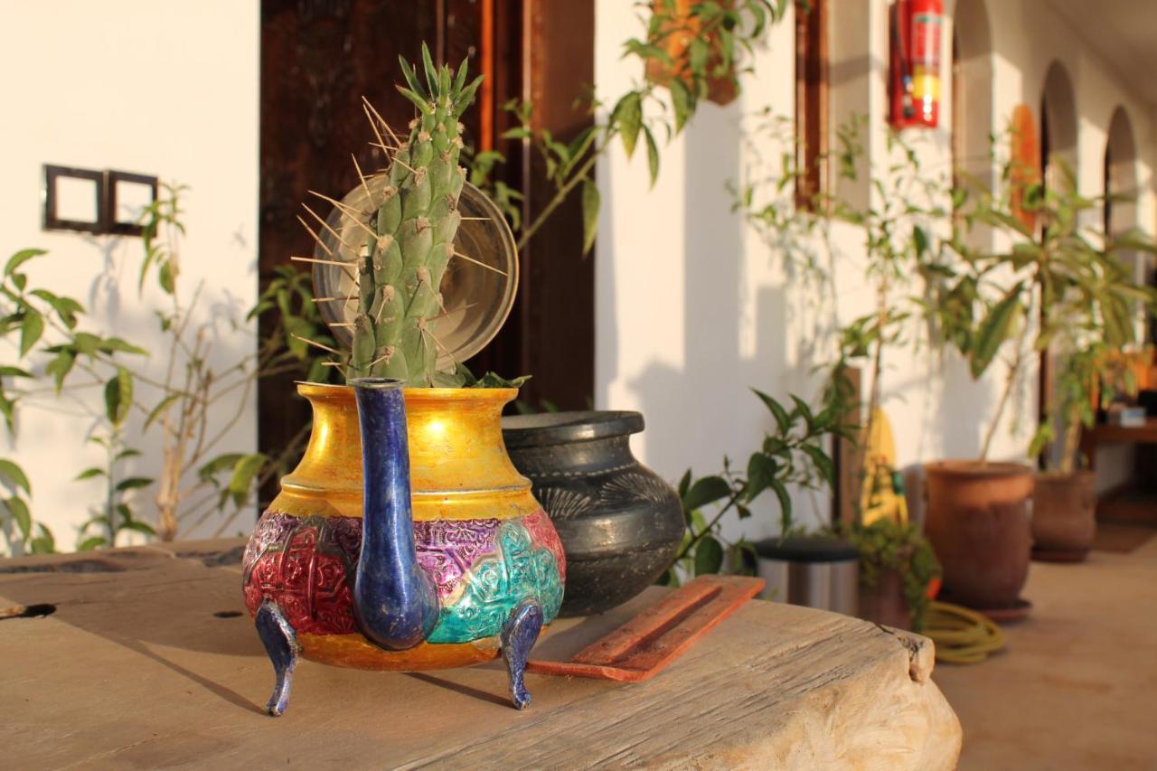 Maison Darna Guesthouse Aourir Εξωτερικό φωτογραφία